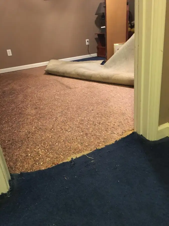 Carpet pad removal revealing water damage during Water Mitigation Services in Alma